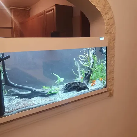 Grand Unirii Plaza アパート *